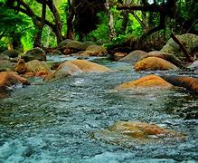 Image result for Flowing River Graphic