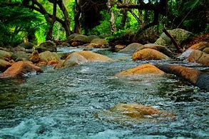 Image result for River Water Flow