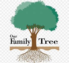 Image result for Graphic Family Tree Clip Art