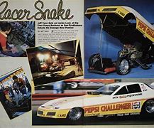 Image result for Snake Vs. Car