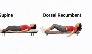 Image result for Dorsal Recumbent Position