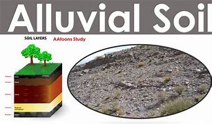 Image result for Eluvial Shape