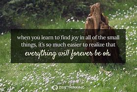 Image result for Finding Joy in Small Things Wirh Sayings