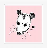 Image result for Possum Doodle