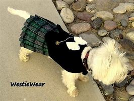 Image result for Dog Kilt