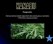 Image result for Narkotik Dadah