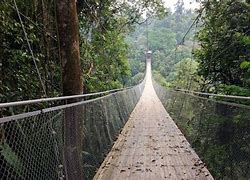 Image result for Skitu Gunung