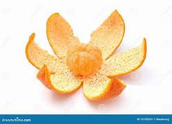 Image result for Small Mandarin Orange