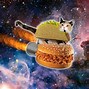 Image result for Flying Taco Cat