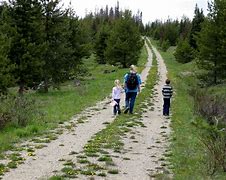 Image result for Logging Road