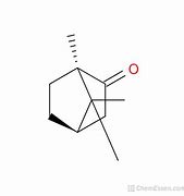 Image result for Camphor Chemical Structure