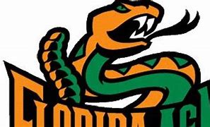 Image result for FAMU Running Back