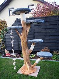 Image result for Wood Cat Tree