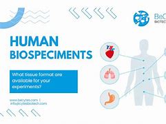 Image result for Human Tissue Acyt