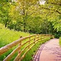 Image result for Beautiful Summer Country Backgrounds