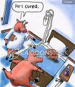 Image result for Peppa Pig Meme Cured the Ham