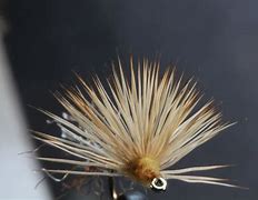 Image result for Fly Fishing Tying