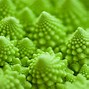 Image result for Fractal Shape