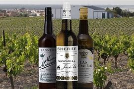 Image result for Manzanilla Wine