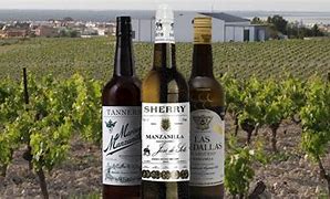 Image result for Manzanilla Wine