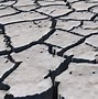 Image result for Dried Desert