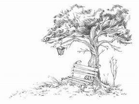 Image result for Tree Sketch