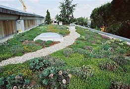 Image result for Green Roof Garden