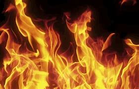 Image result for Sienfiled Fire GIF