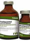 Image result for Praziquantel Dosing Chart for Cats