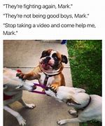 Image result for Sunday Dog Memes