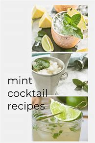 Image result for Mint Cocktail Recipes