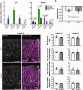 Image result for Z CRE Gene