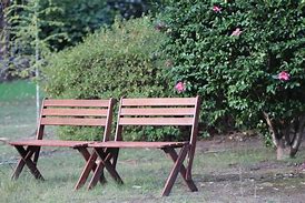 Image result for Garden Park Bench