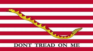 Image result for US Navy Snake Flag