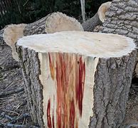 Image result for Tree with Red Inside