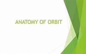 Image result for Orbit Anatomy PPT