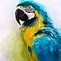 Image result for Blue Parrot Painting