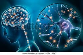 Image result for Data-Driven Brain Clip Art