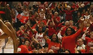 Image result for Indiana Fever Items