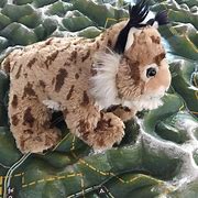 Image result for Lynx Rufus Stuffed Animal