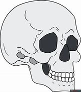 Image result for 3 4. Profile Skull Drawing