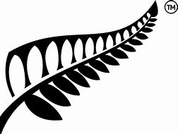 Image result for New Zealand Fern Clip Art