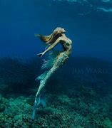 Image result for Real Beautiful Mermaids