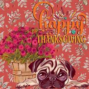 Image result for Thanksgiving Pug