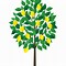 Image result for Clip Art Lemon Tree