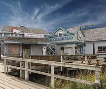 Image result for Homer Alaska Town