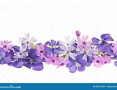 Image result for Purple Spring Flower Border