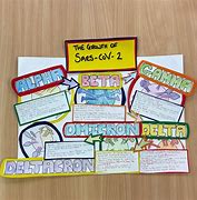 Image result for Science Poster Decorations