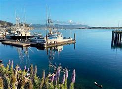 Image result for What to Do at Morro Bay