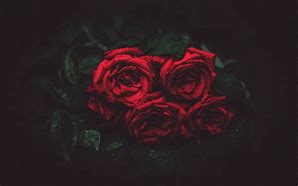 Image result for Roses Bouquet 4K